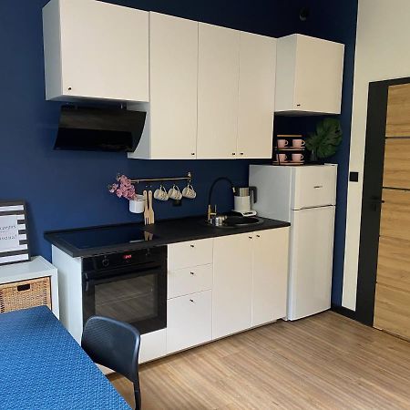 Przytulny I Nowoczesny Apartament Malgosi, 10 Min Pieszo Od Dworca I Galerii Катовіце Екстер'єр фото