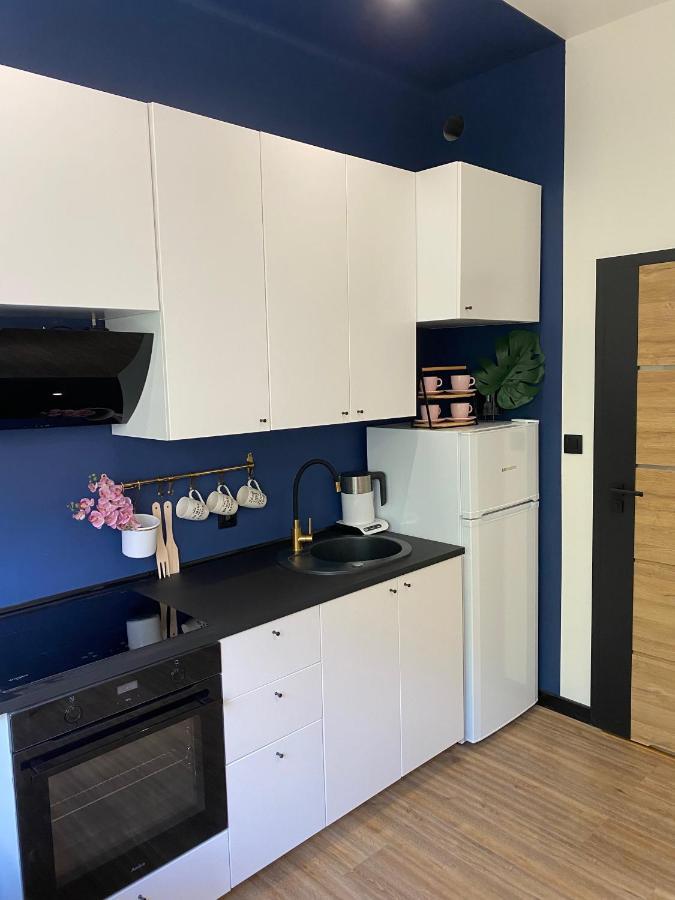 Przytulny I Nowoczesny Apartament Malgosi, 10 Min Pieszo Od Dworca I Galerii Катовіце Екстер'єр фото